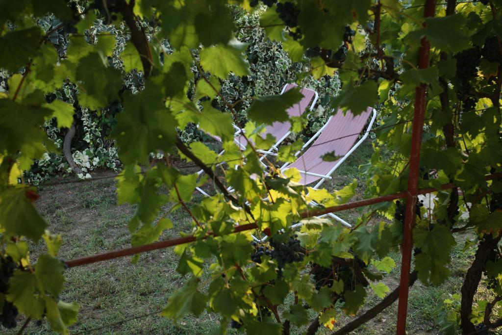 Kucica Ljubcek Villa Privlaka  Rum bild