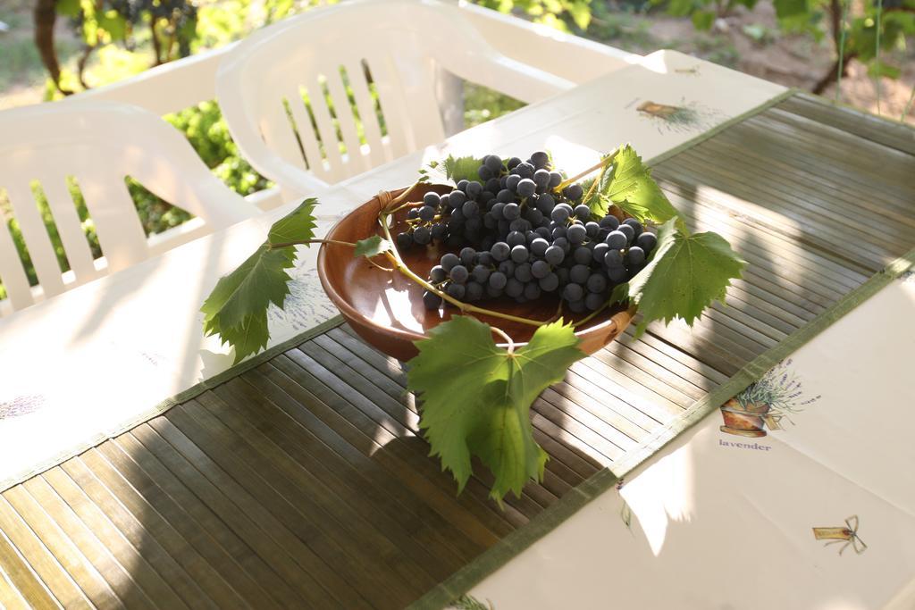 Kucica Ljubcek Villa Privlaka  Rum bild